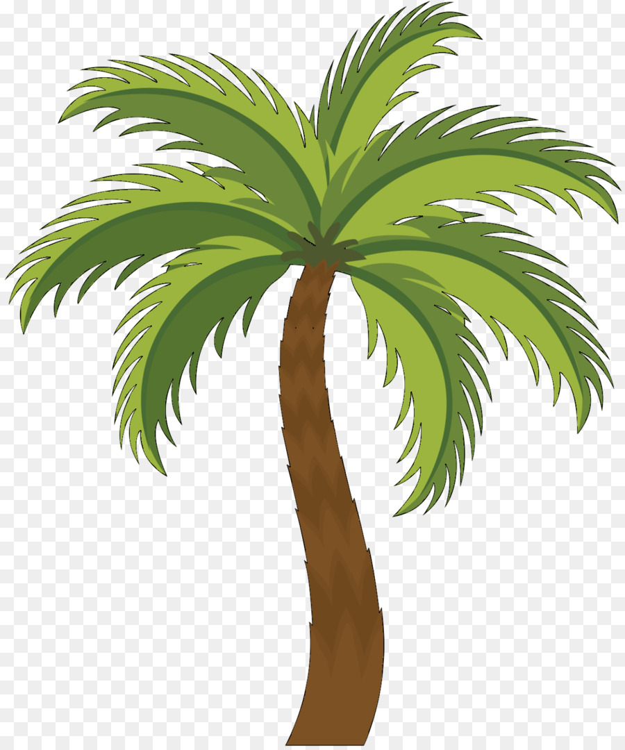 Азиатские Пальмира ладони，пальмы PNG