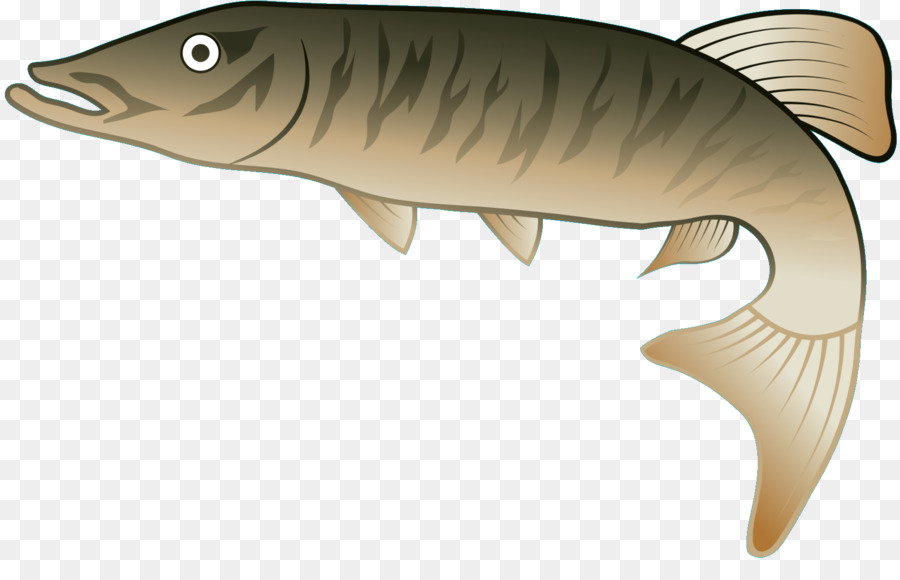 Рыбы，фауна PNG