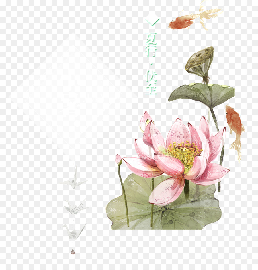 цветочный дизайн，плакат PNG