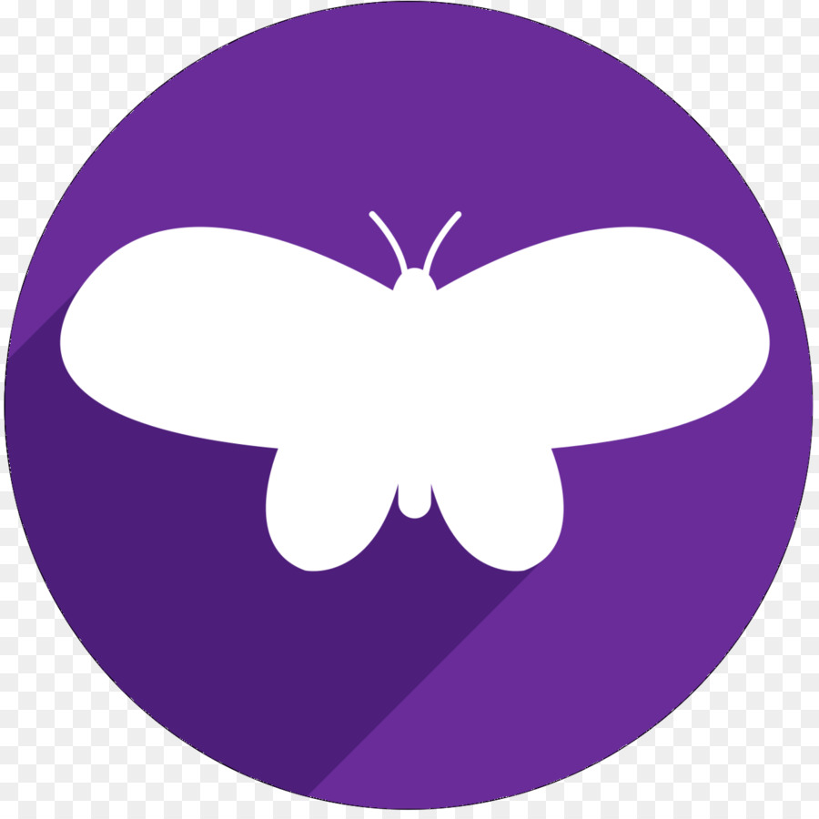 м бабочка，фиолетовый PNG