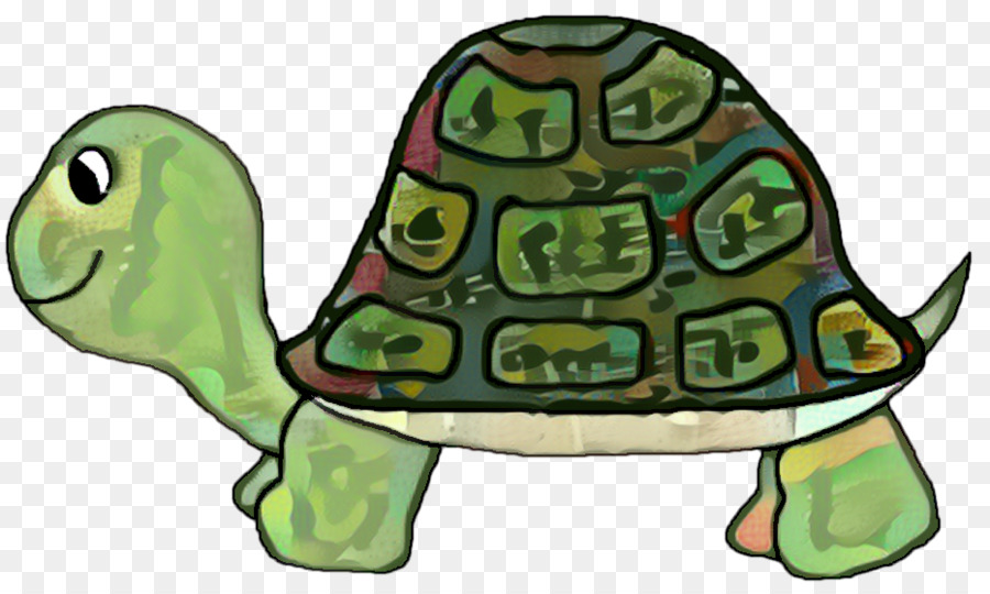черепахи коробка，черепаха PNG