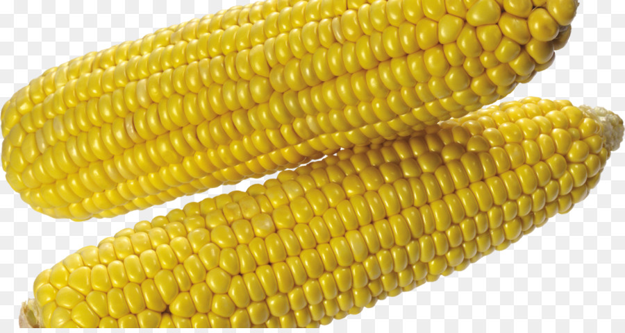 кукуруза в початках，Сладкая кукуруза PNG