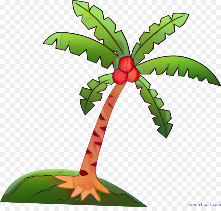 пальмы，Кокосовое PNG