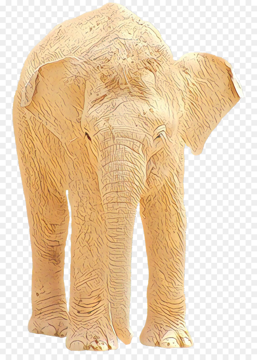 индийский слон，Слон PNG