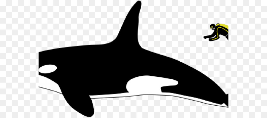 Касатка，киты PNG