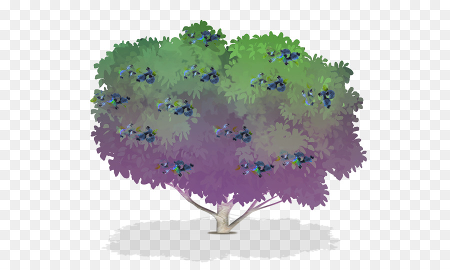 черничный，Дерево PNG