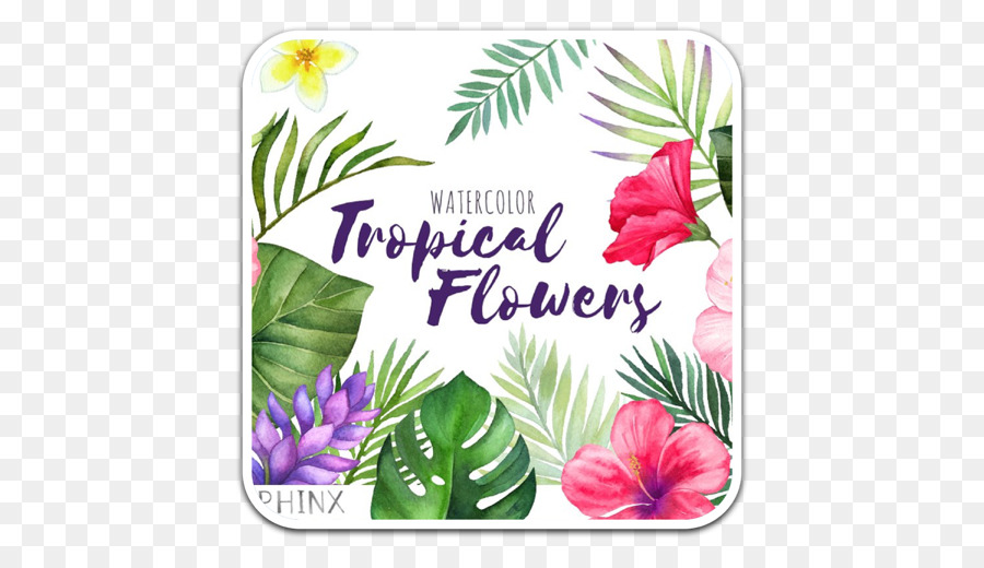 цветок，Тропический фламинго PNG