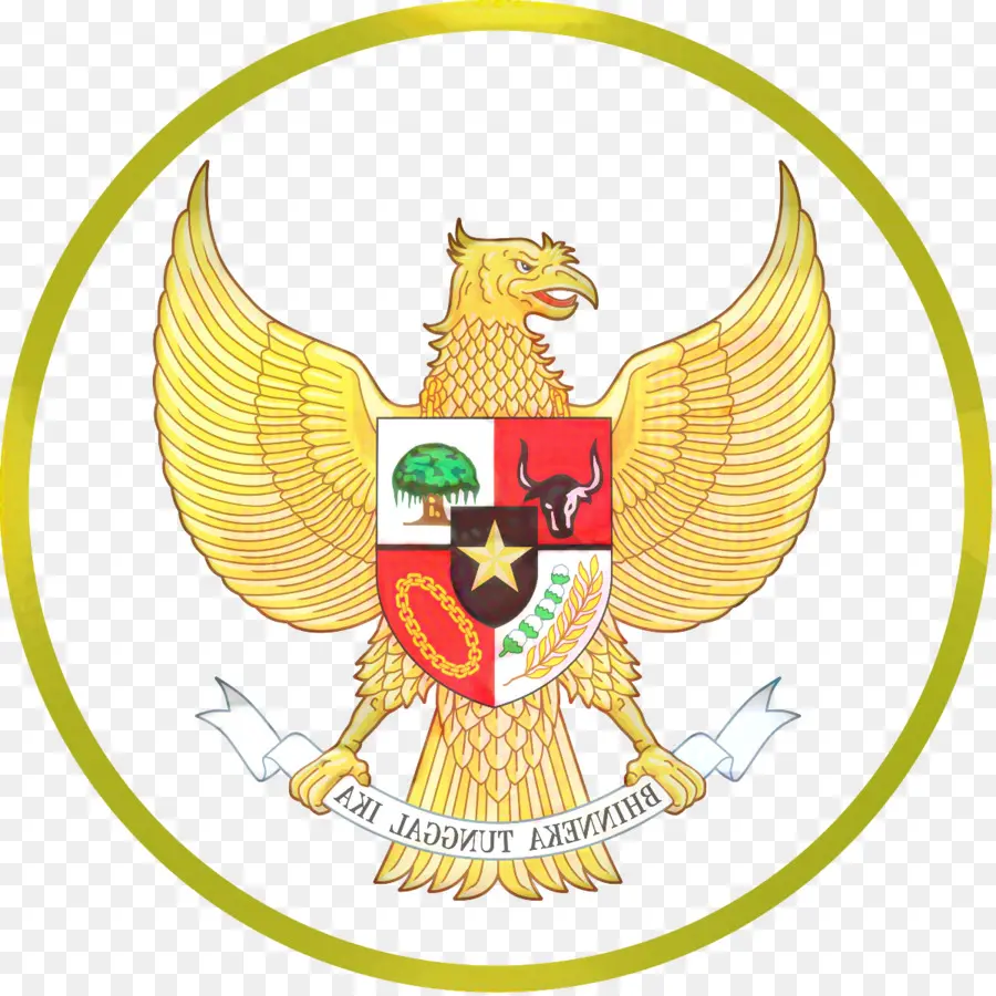Индонезия национальная футбольная команда Under19，Индонезия национальная футбольная команда PNG