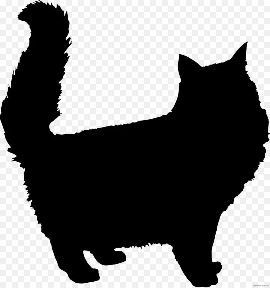 Персидская кошка，силуэт PNG