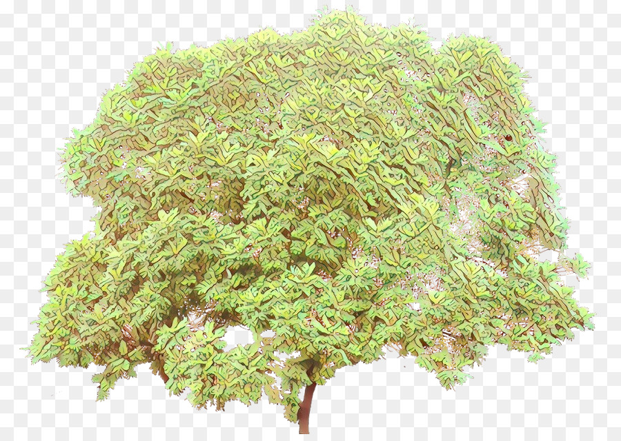Дерево，Травы PNG