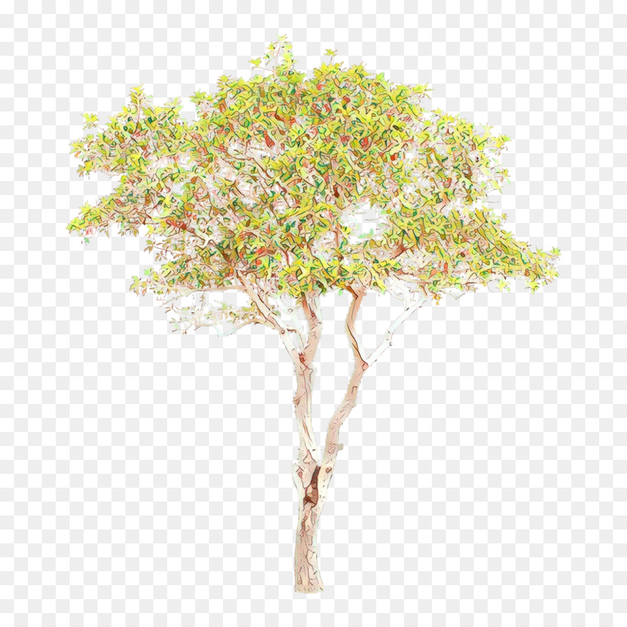 Дерево，Сладкий османтус PNG