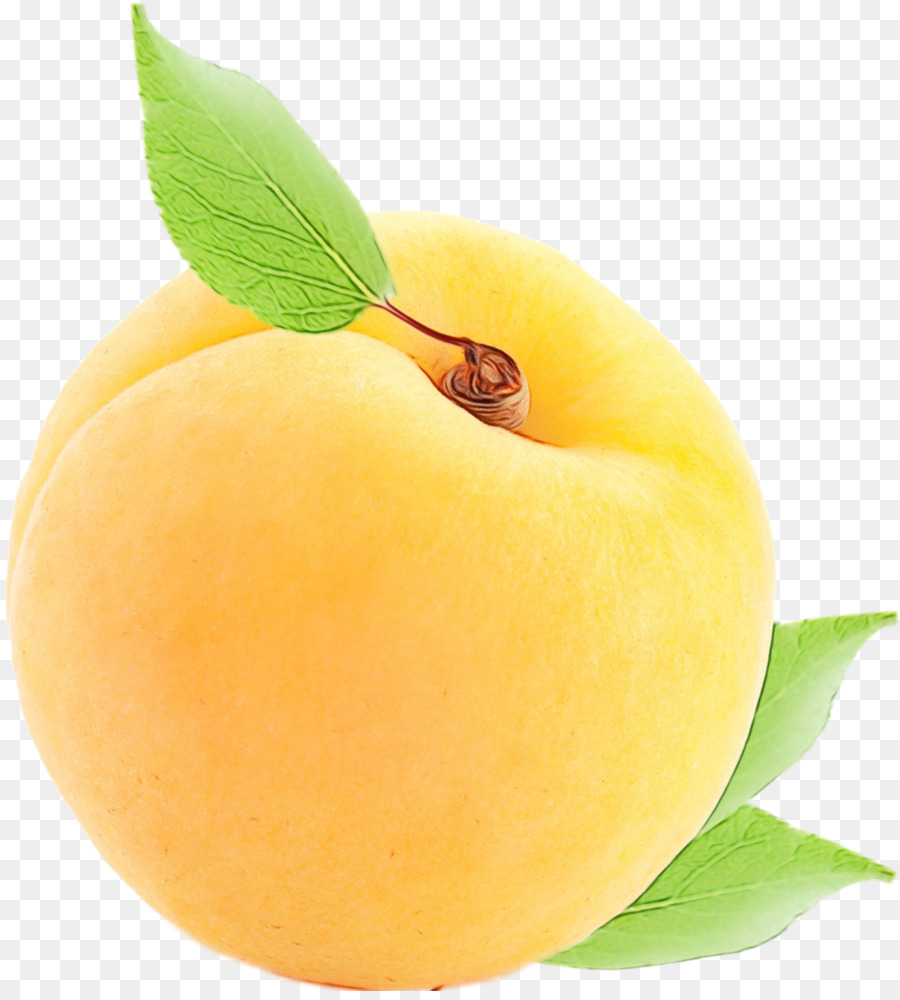 Apricots – абрикосы