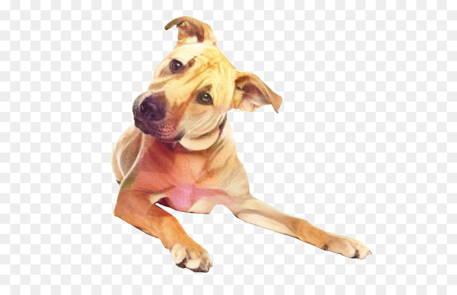 собака породы，американский питбультерьер PNG