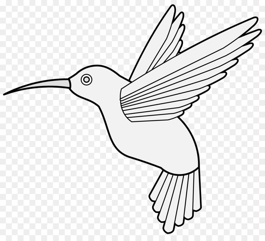 Колибри，крыло PNG