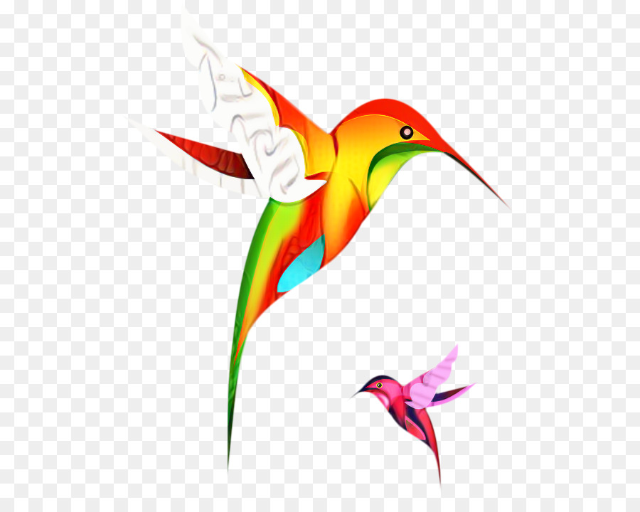 Колибри，Рисунок PNG