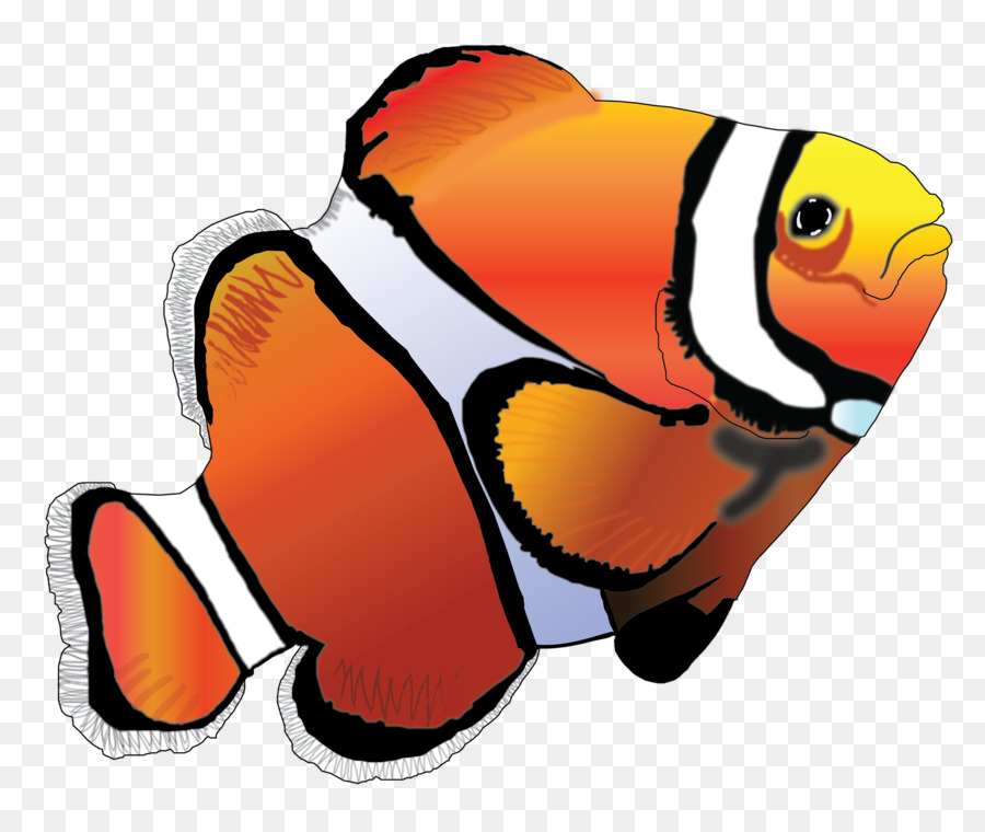Клоуны оцелярисы，Рыбы PNG