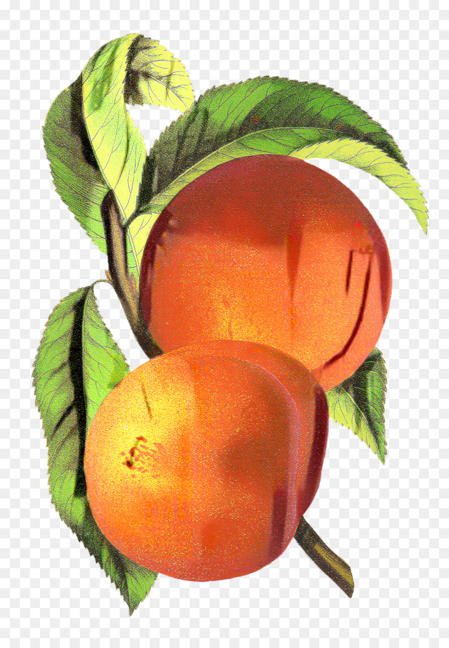 Персик оранж
