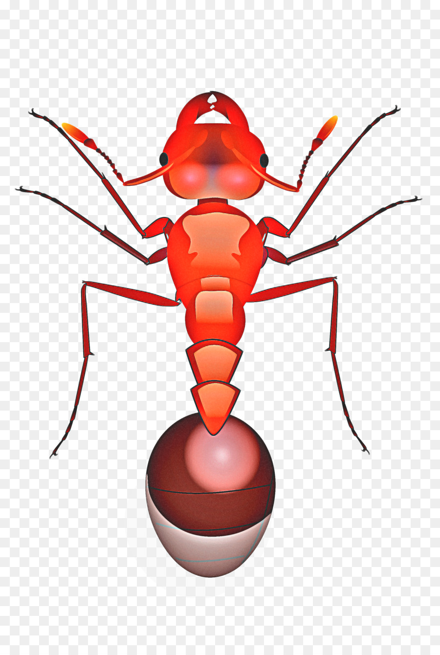 Красный импортированный огненный муравей，насекомое PNG