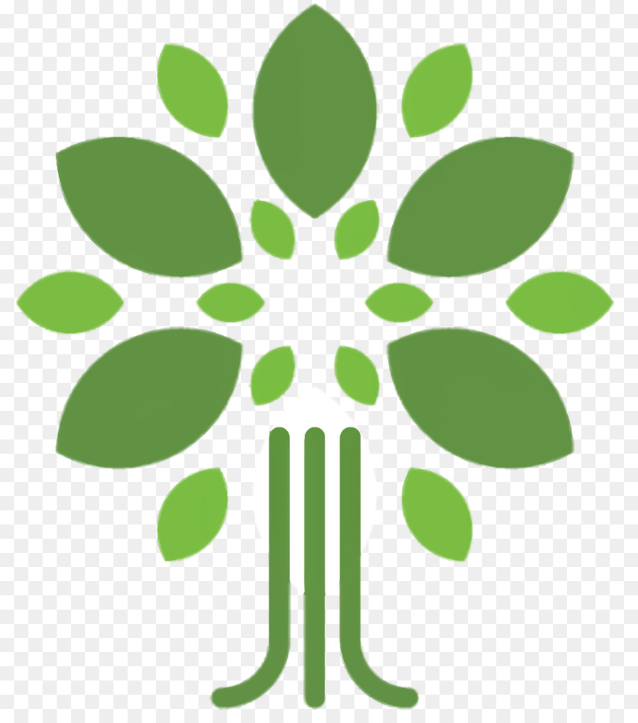 школа леса，логотип PNG