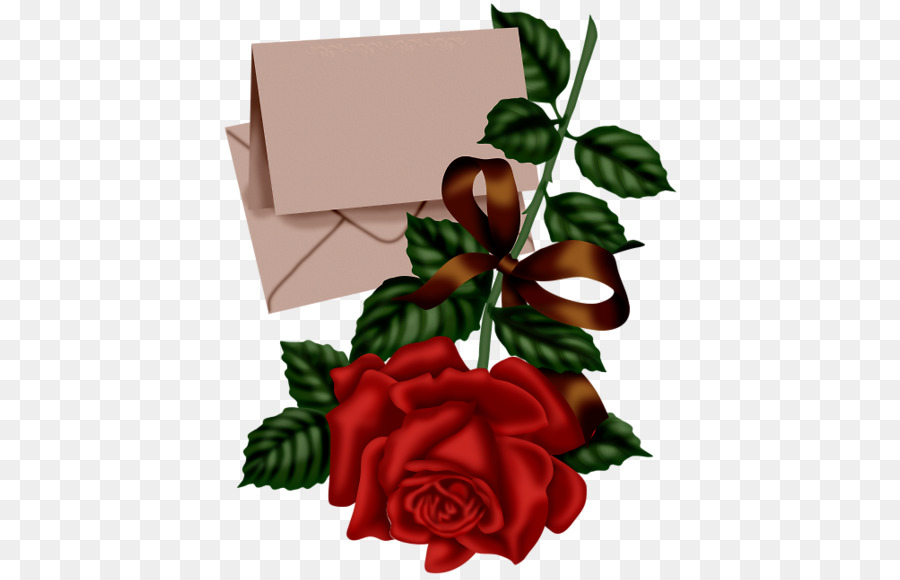Роза，Подарок PNG