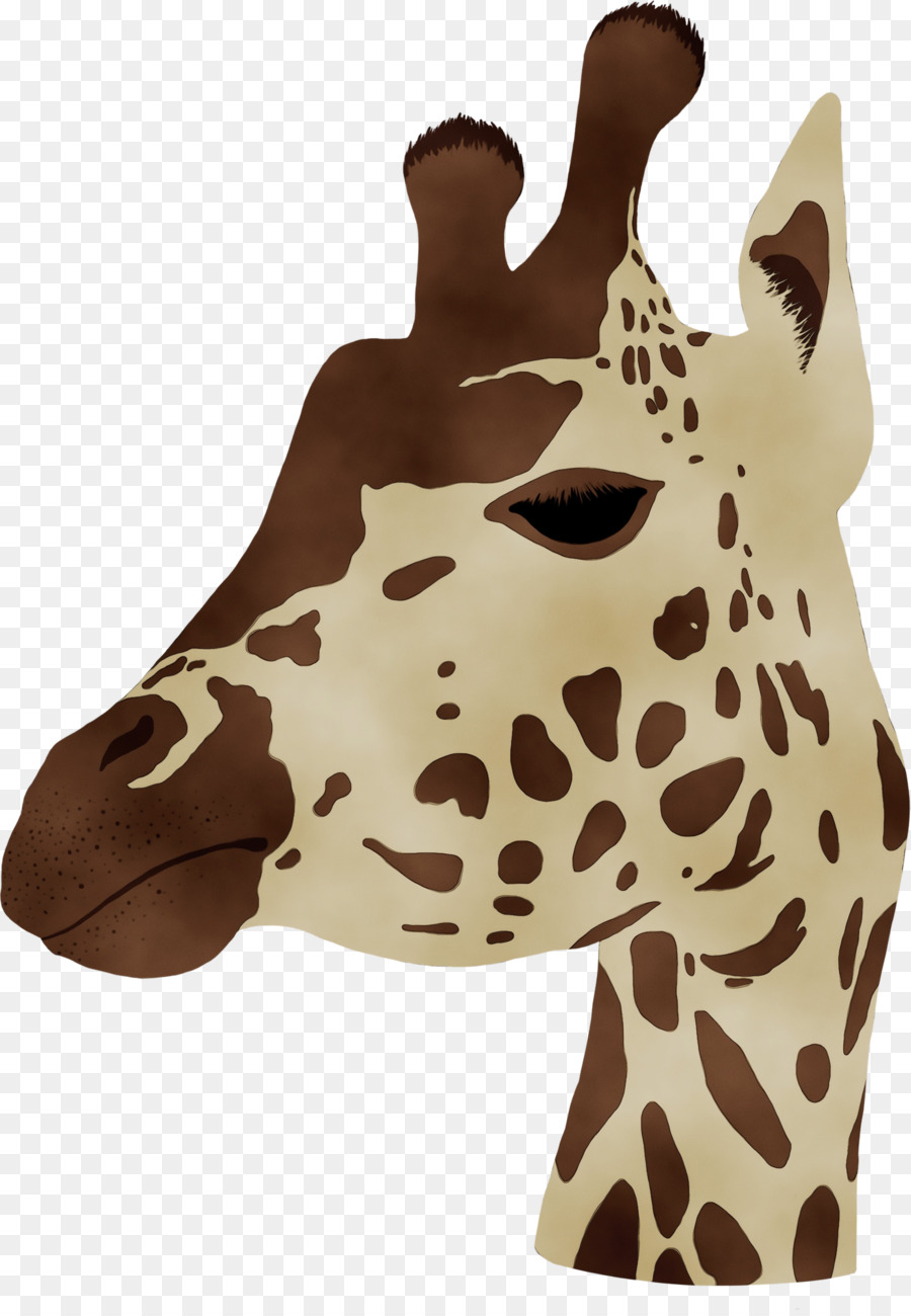 Жираф，шея PNG