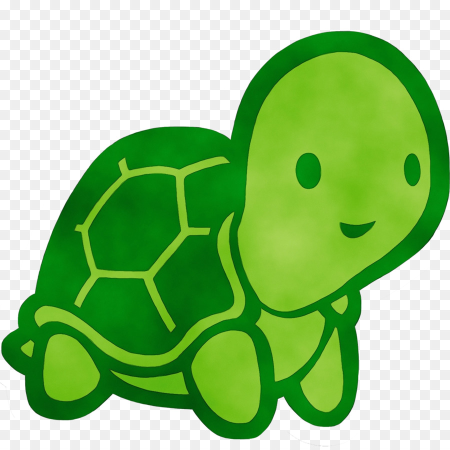 Черепаха логотип