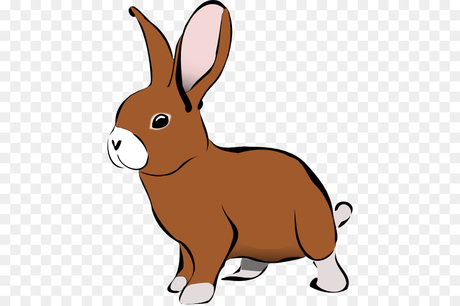 Кролик，Пасхальный Кролик PNG