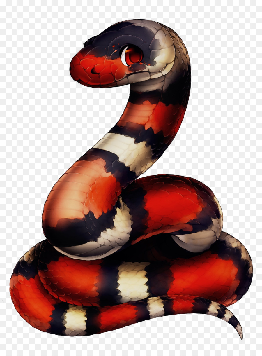 змеи，рептилия PNG