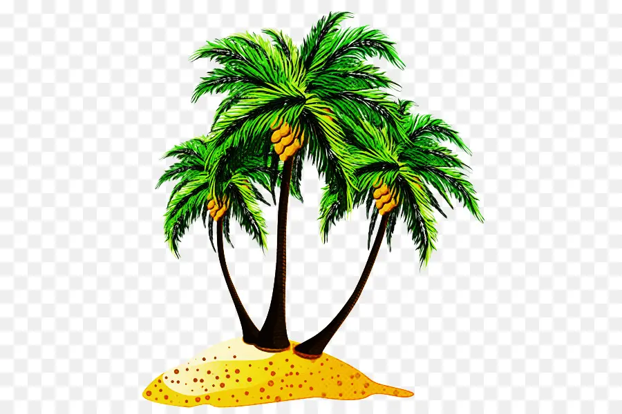 пальмы，пляж PNG