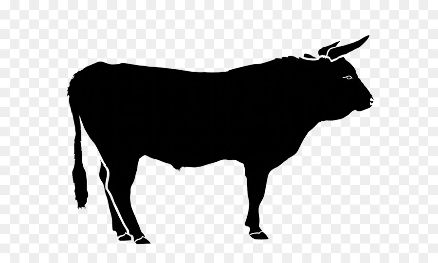 Голштино Фризской породы крупного рогатого скота，Ангус крупного рогатого скота PNG