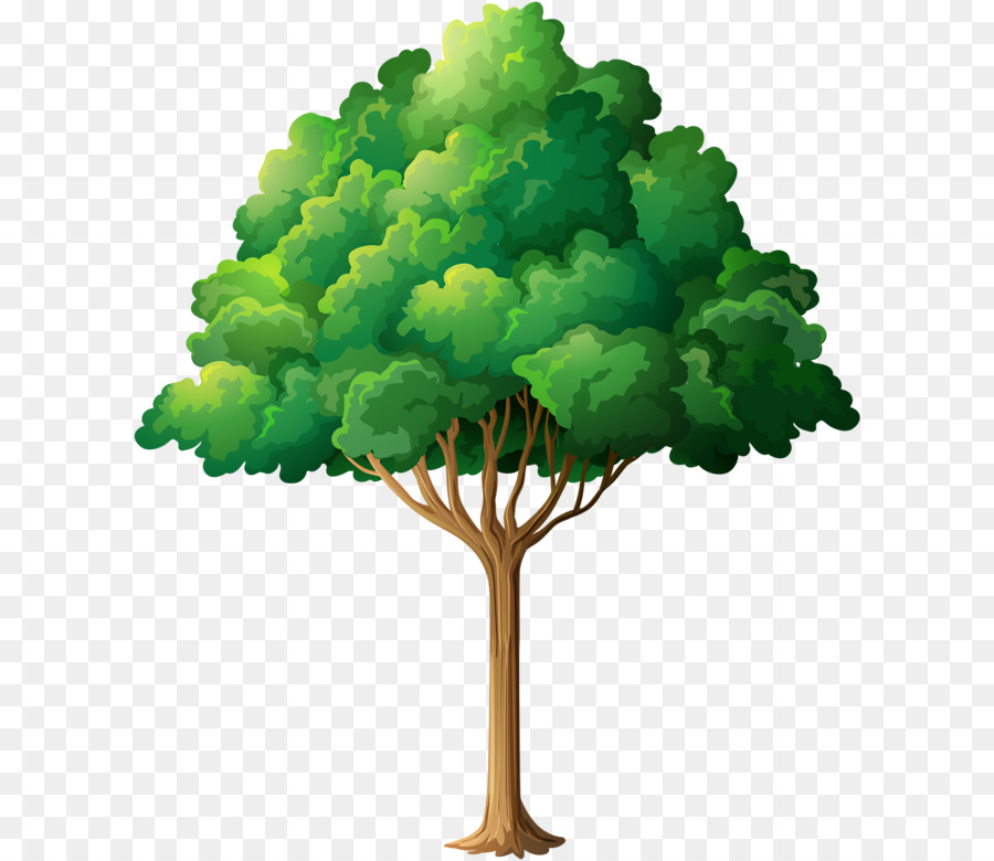 Дерево，Royaltyfree PNG