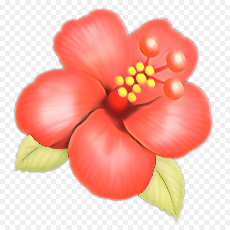 цветущее растение，Бэрри М PNG