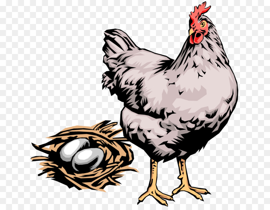 Курица，яйцо PNG