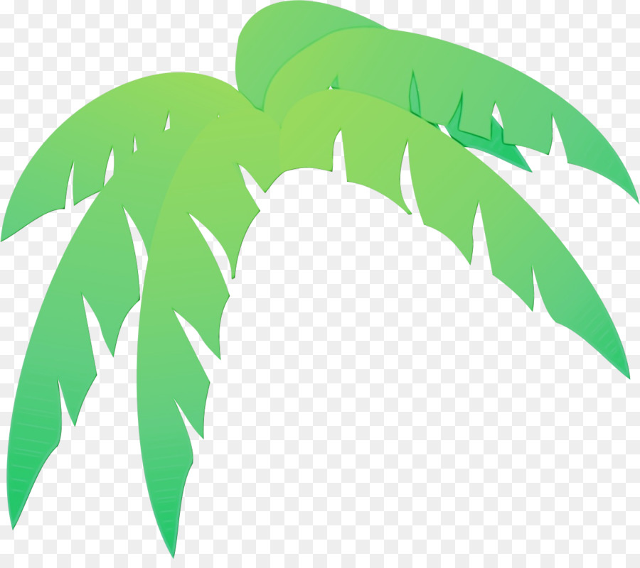 пальмы，Пальмовая ветвь PNG