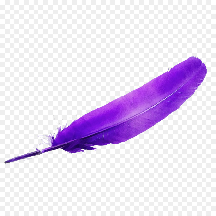 фиолетовый，Перо PNG