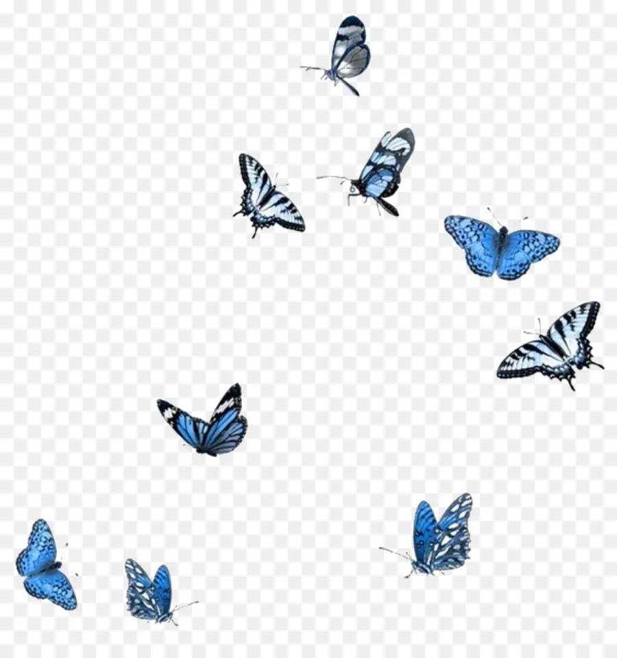 Бабочка，Элементы Adobe Фотошоп PNG