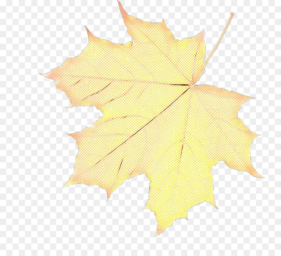 кленовый лист，желтый PNG