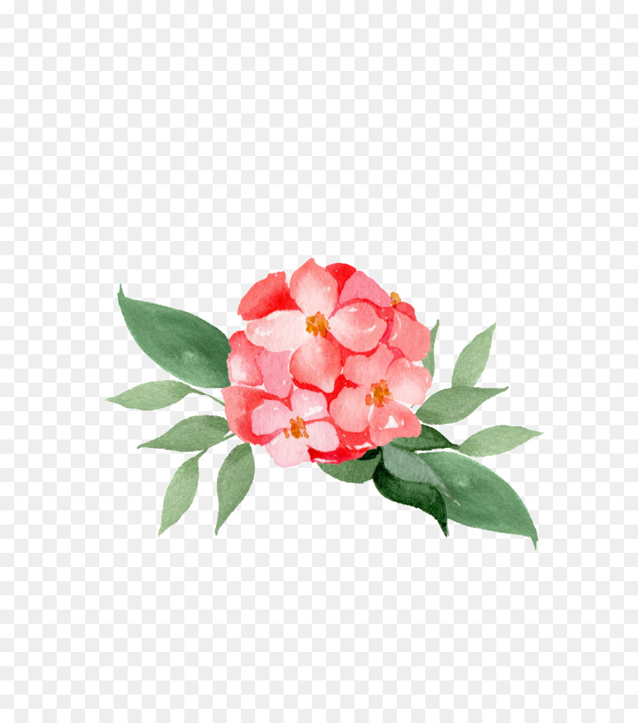 цветок，Цветочный дизайн PNG