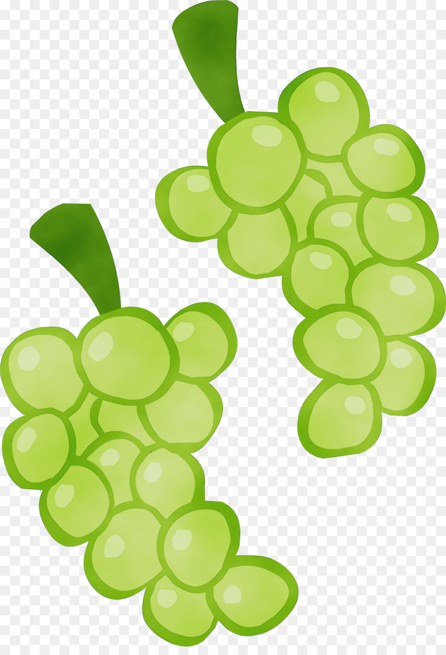 Виноград векторное изображение