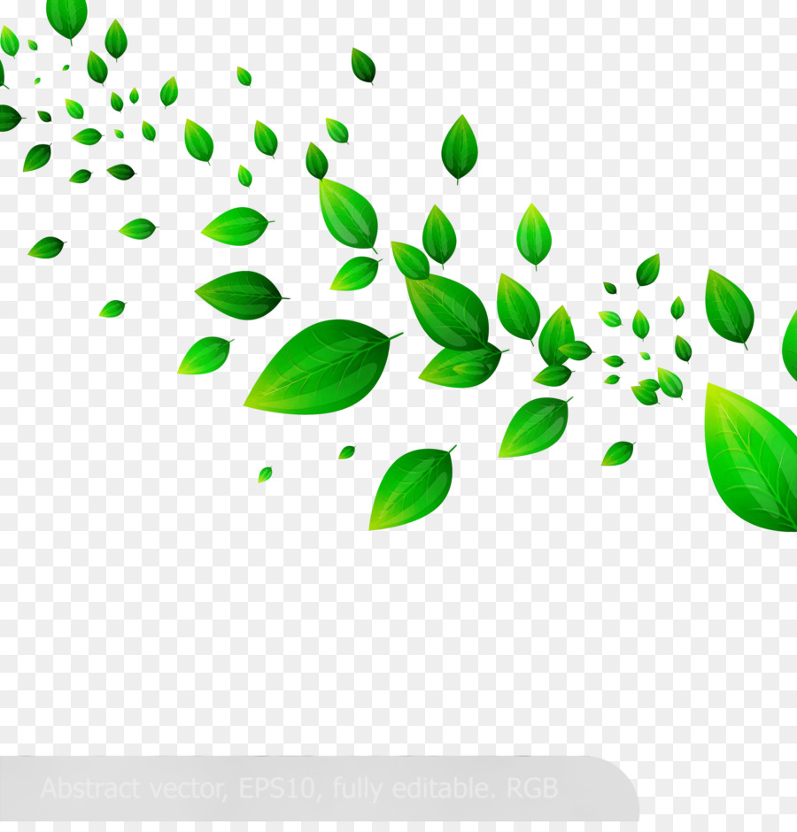 Зеленые листья на прозрачном фоне
