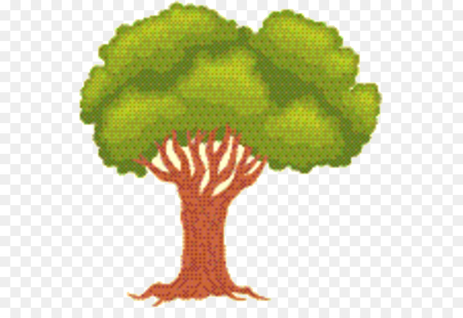 Дерево，цветущее растение PNG
