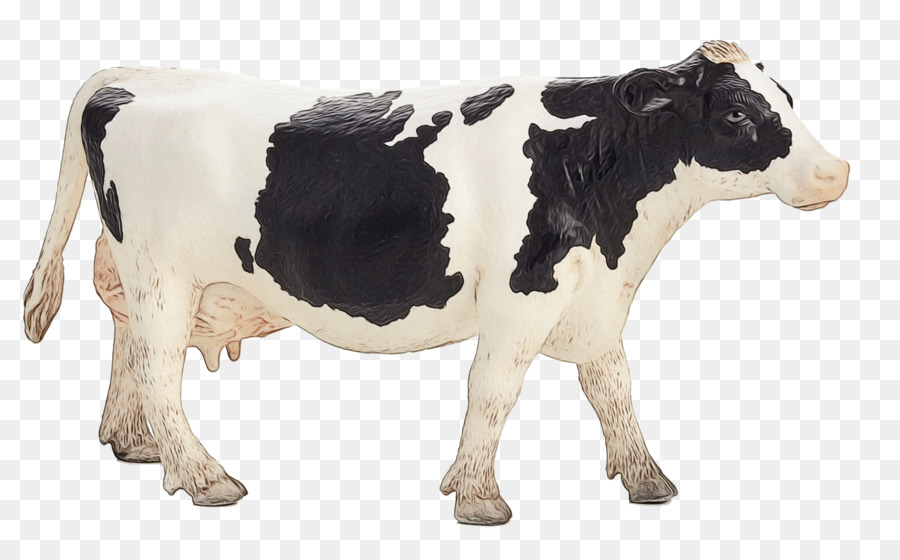 Голштино Фризской породы крупного рогатого скота，Симментальский скот PNG