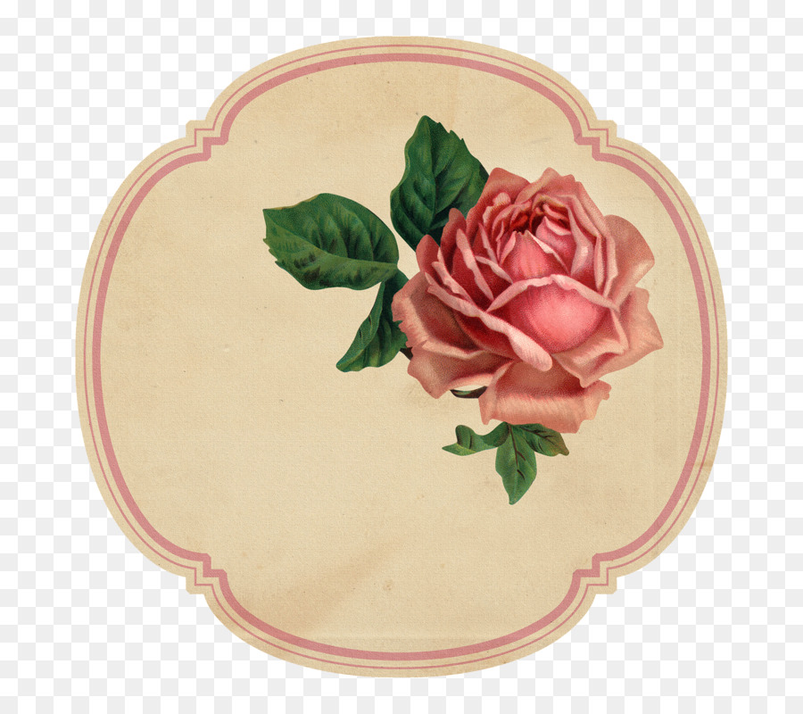 Сад роз，бумага PNG