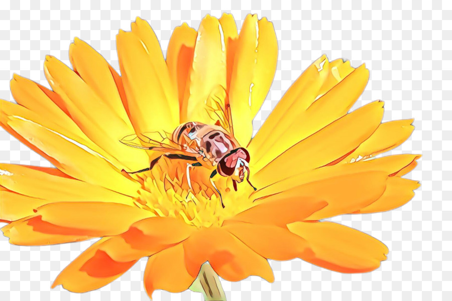 Нектар рисунок. Пчела на прозрачном фоне. Пчелка на прозрачном фоне. Нектар картинка для детей на прозрачном фоне. Цветок с нектаром рисунок.