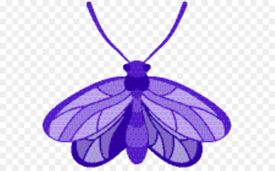 насекомое，фиолетовый PNG