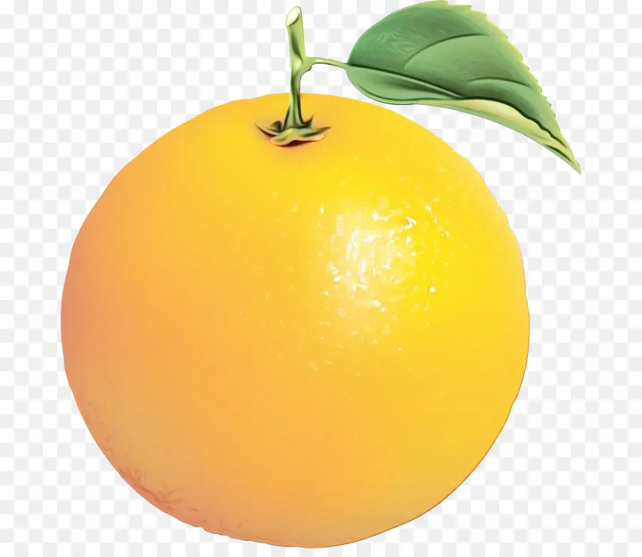 Грейпфрут，оранжевый PNG