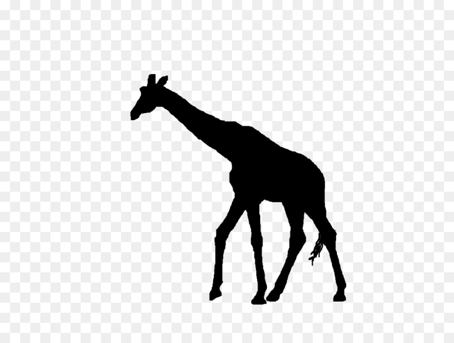 силуэт，Северный жираф PNG