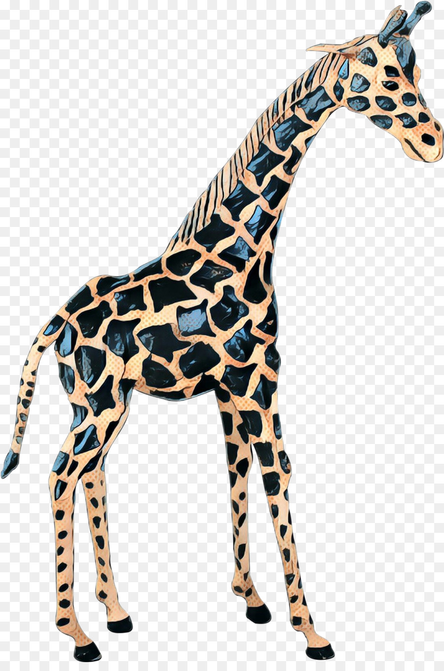 Северный жираф，Рисунок PNG