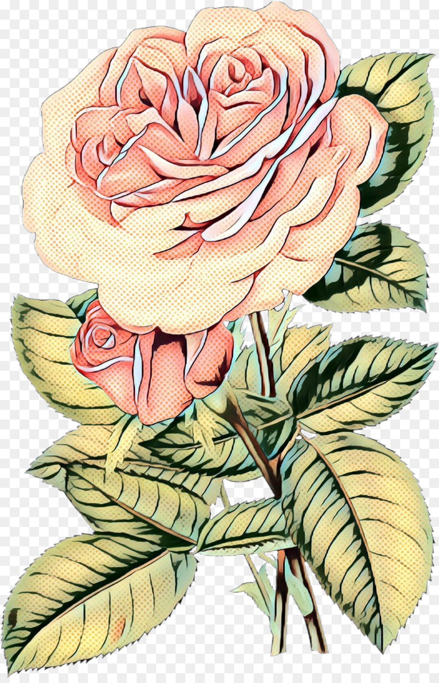 Сад роз，столистная роза PNG