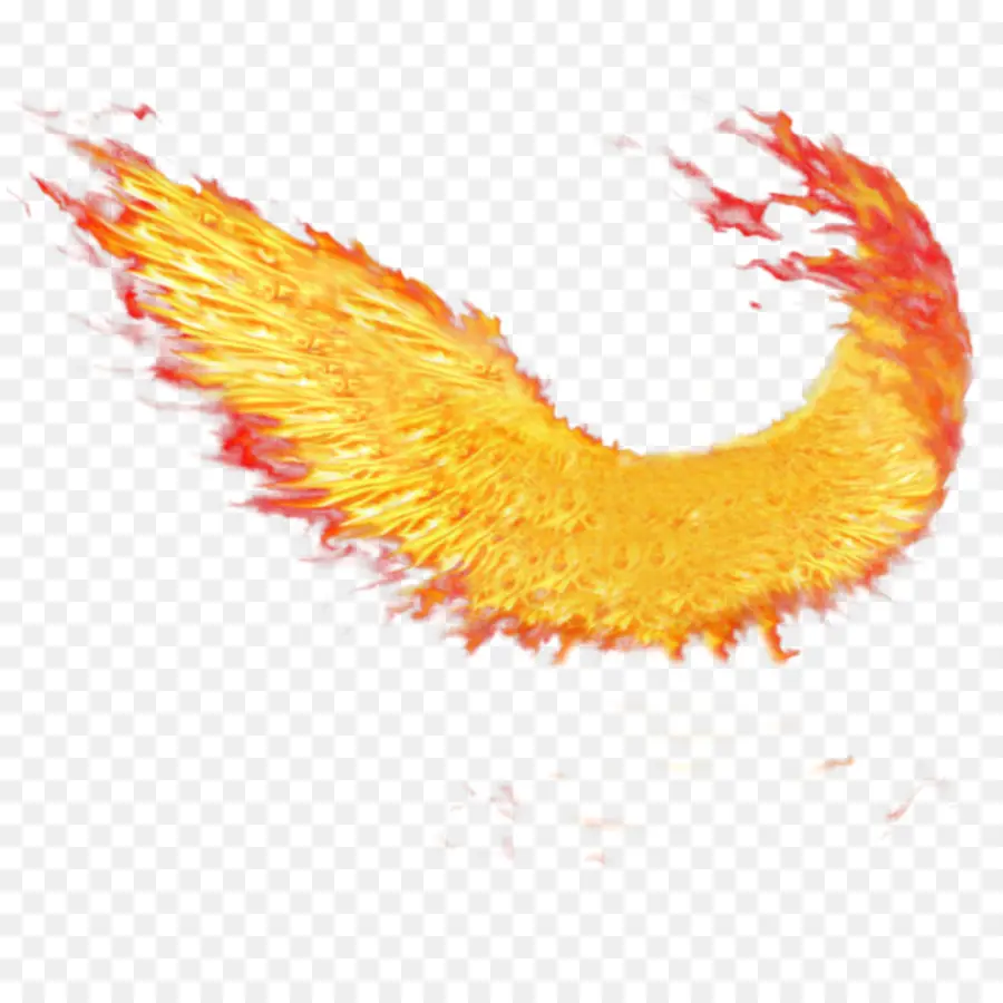 Огонь，крылья огня PNG